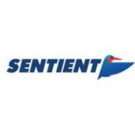 Sentient Vision Systems  